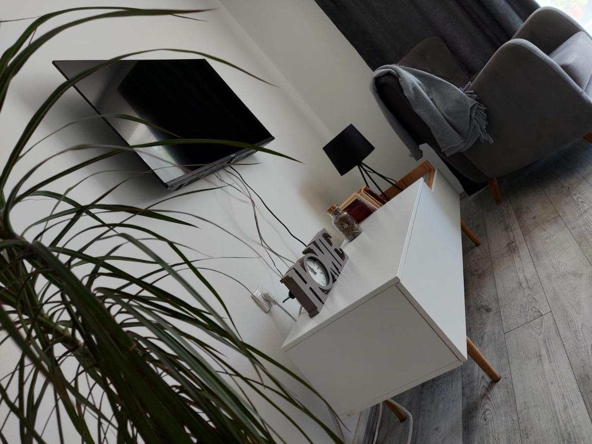Fenix Apartment & Rooms Vinci Buitenkant foto