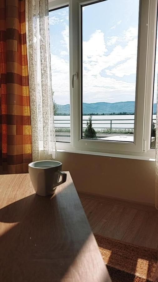 Fenix Apartment & Rooms Vinci Buitenkant foto